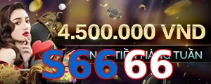 S6666