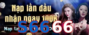S6666