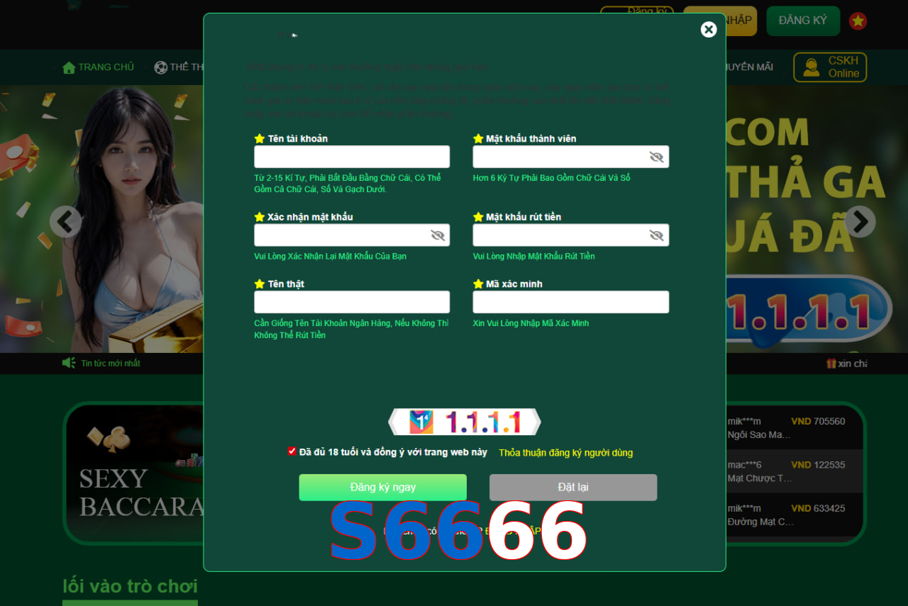 S6666